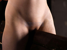 縛り拷問覚醒　狙われた美人令嬢　小花のん　サンプル画像03